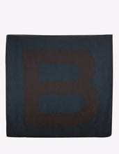 Load image into Gallery viewer, Dual Tone Silk Scarf
